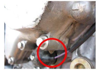 �N�����N�P�[�X�J�o�[����I�C���R��